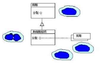 2011040622010421.jpg