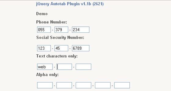 jQuery Form Plugins