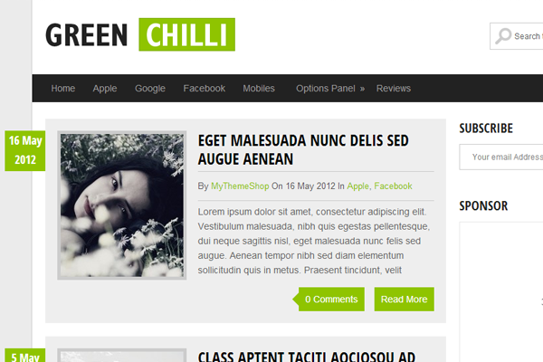 GreenChili Website WordPress Freebie Theme template