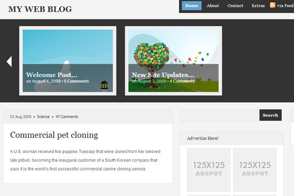 Free WordPress Theme MagazineShack download